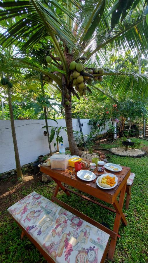 Wine Tree Garden Guesthouse Mirissa Exterior foto