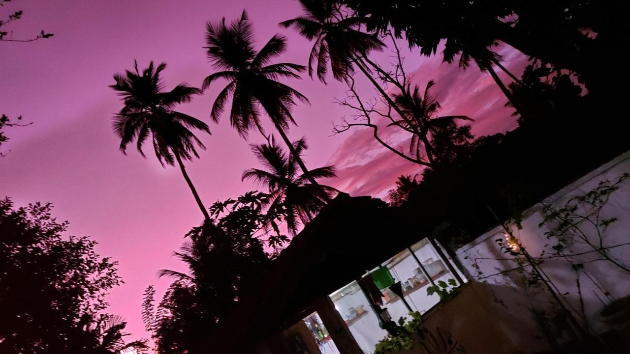 Wine Tree Garden Guesthouse Mirissa Exterior foto
