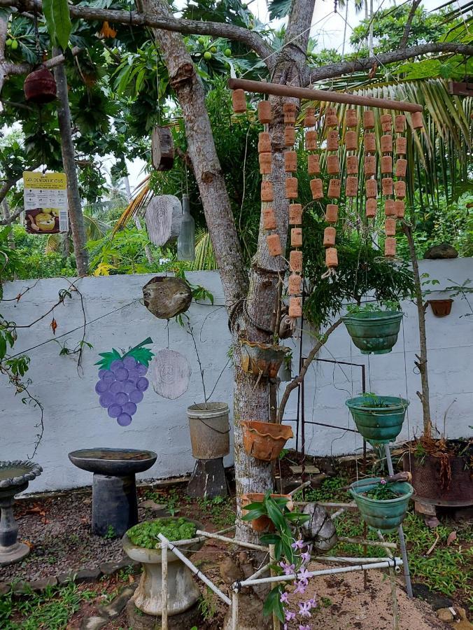 Wine Tree Garden Guesthouse Mirissa Exterior foto