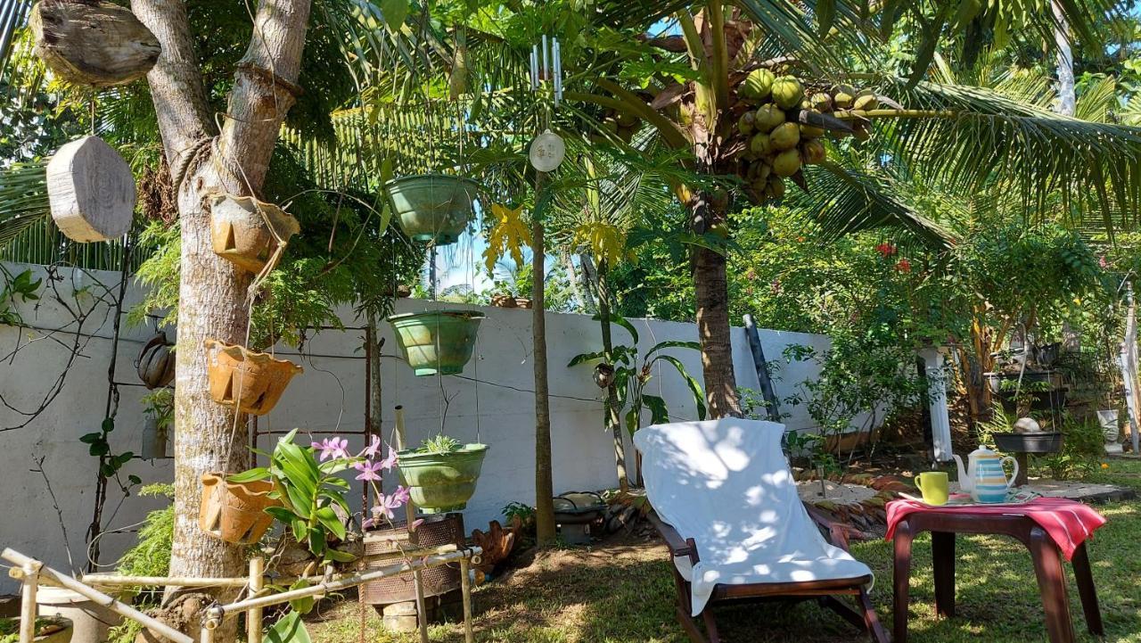 Wine Tree Garden Guesthouse Mirissa Exterior foto